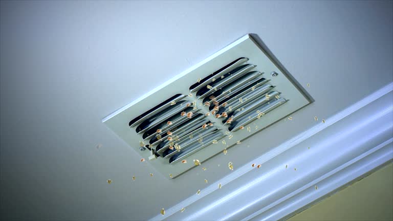 Best Professional Duct Cleaning Services  in Granite Falls, NC